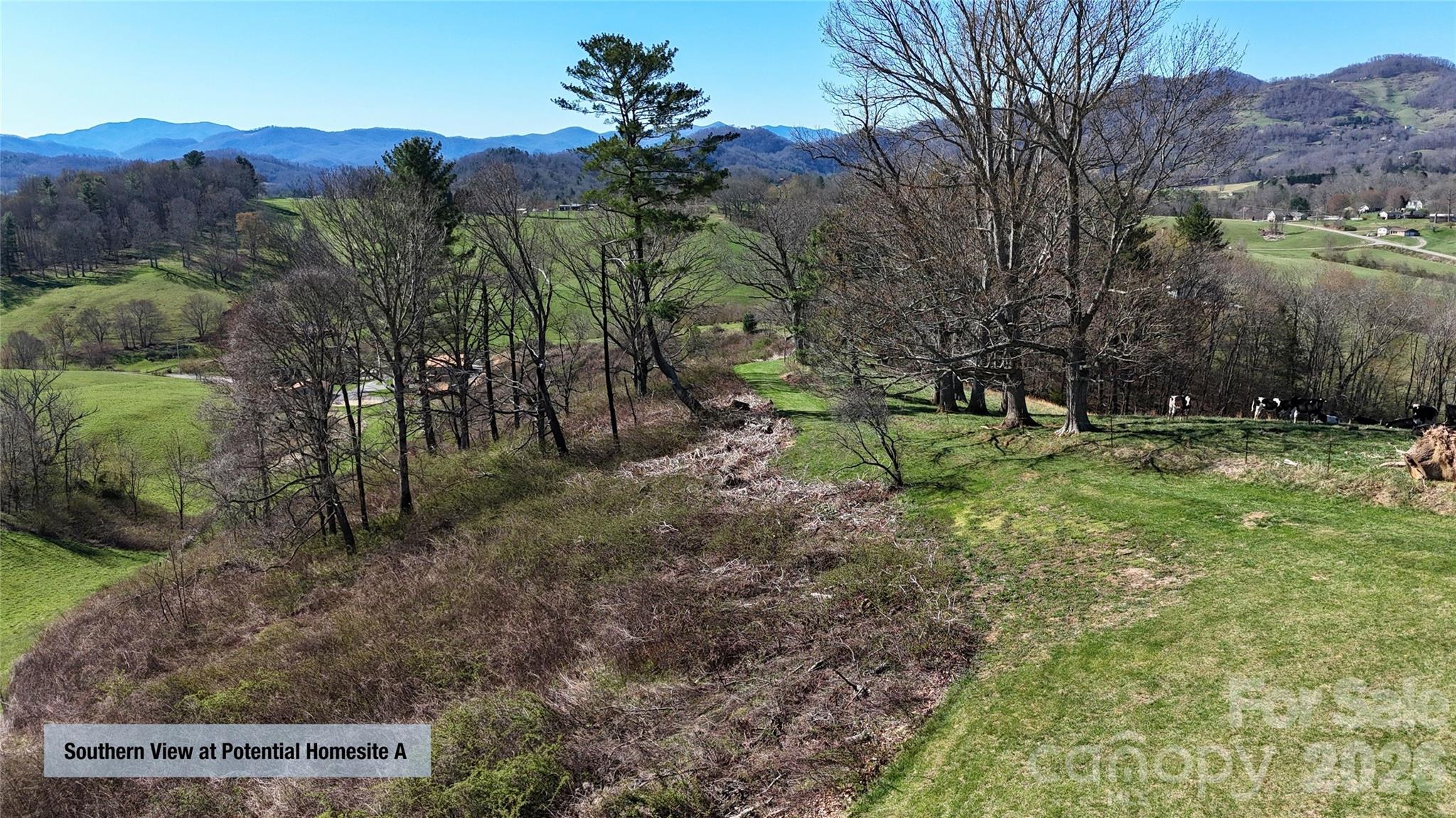 0 Buck Ridge Road Waynesville, NC 28785 - Photo 11 of 18 Gallery Image 11