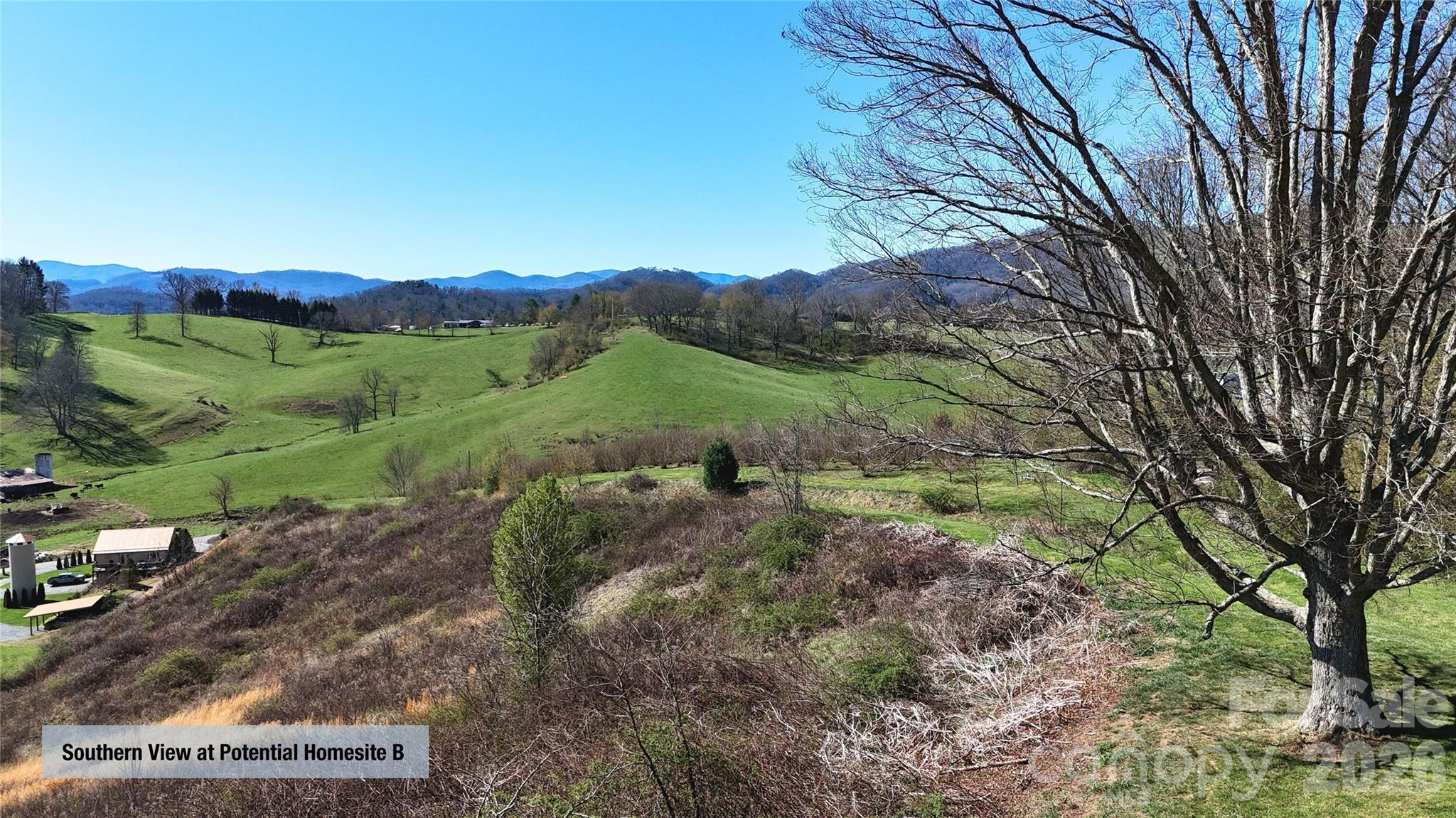 0 Buck Ridge Road Waynesville, NC 28785 - Photo 14 of 18 Gallery Image 14