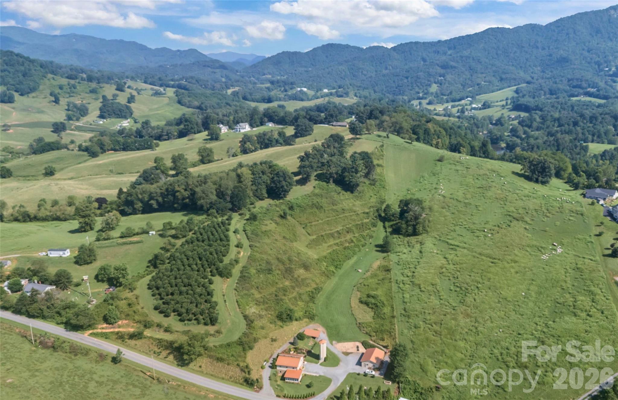 0 Buck Ridge Road Waynesville, NC 28785 - Photo 18 of 18 Gallery Image 18