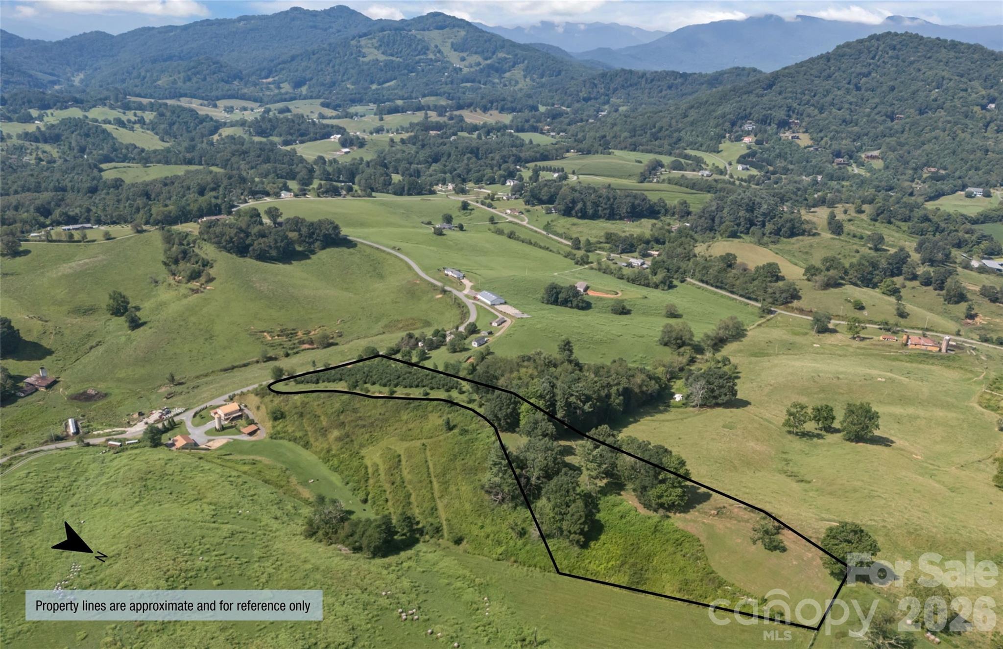 0 Buck Ridge Road Waynesville, NC 28785 - Photo 2 of 18 Gallery Image 2
