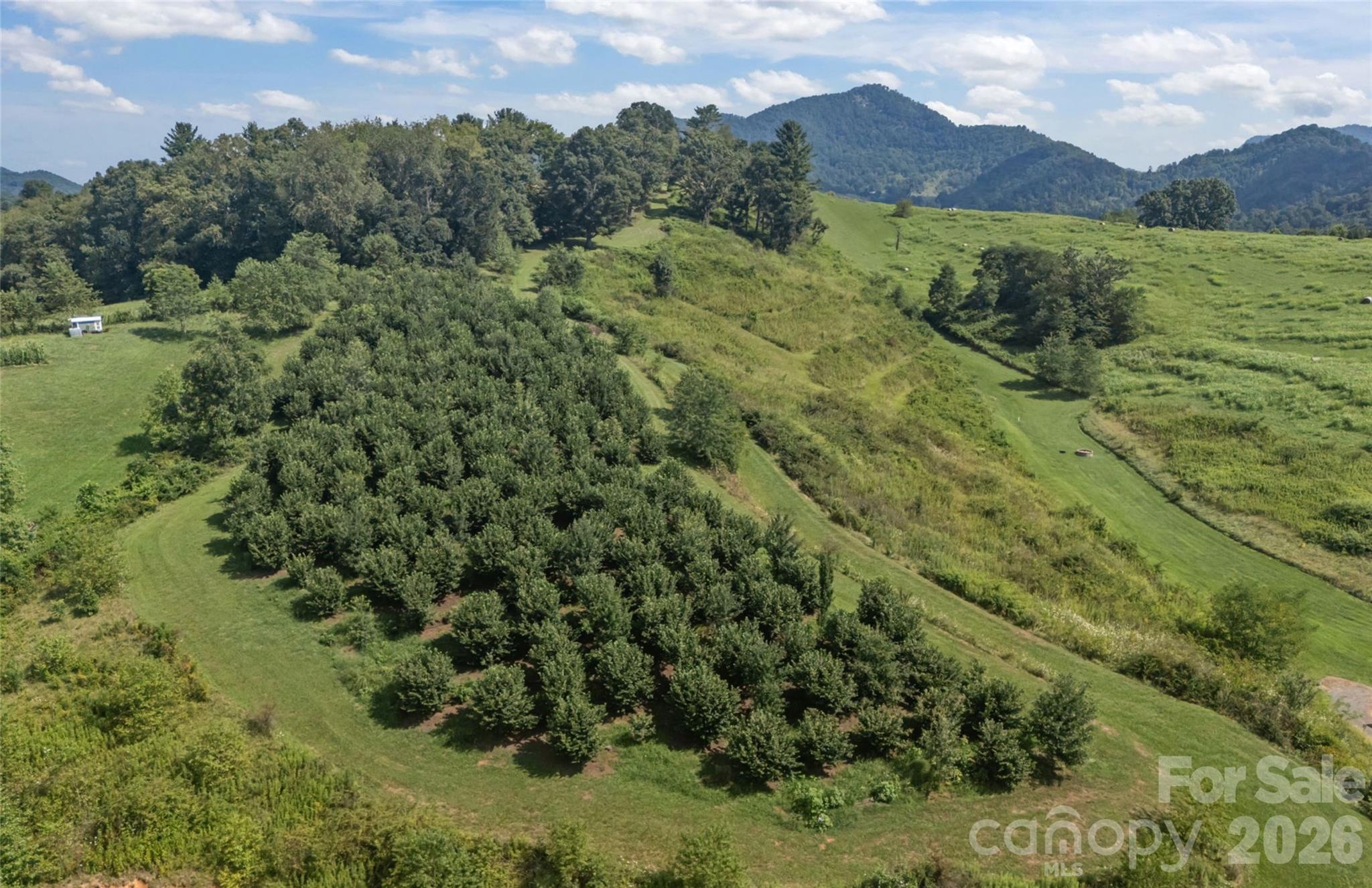 0 Buck Ridge Road Waynesville, NC 28785 - Photo 3 of 18 Gallery Image 3