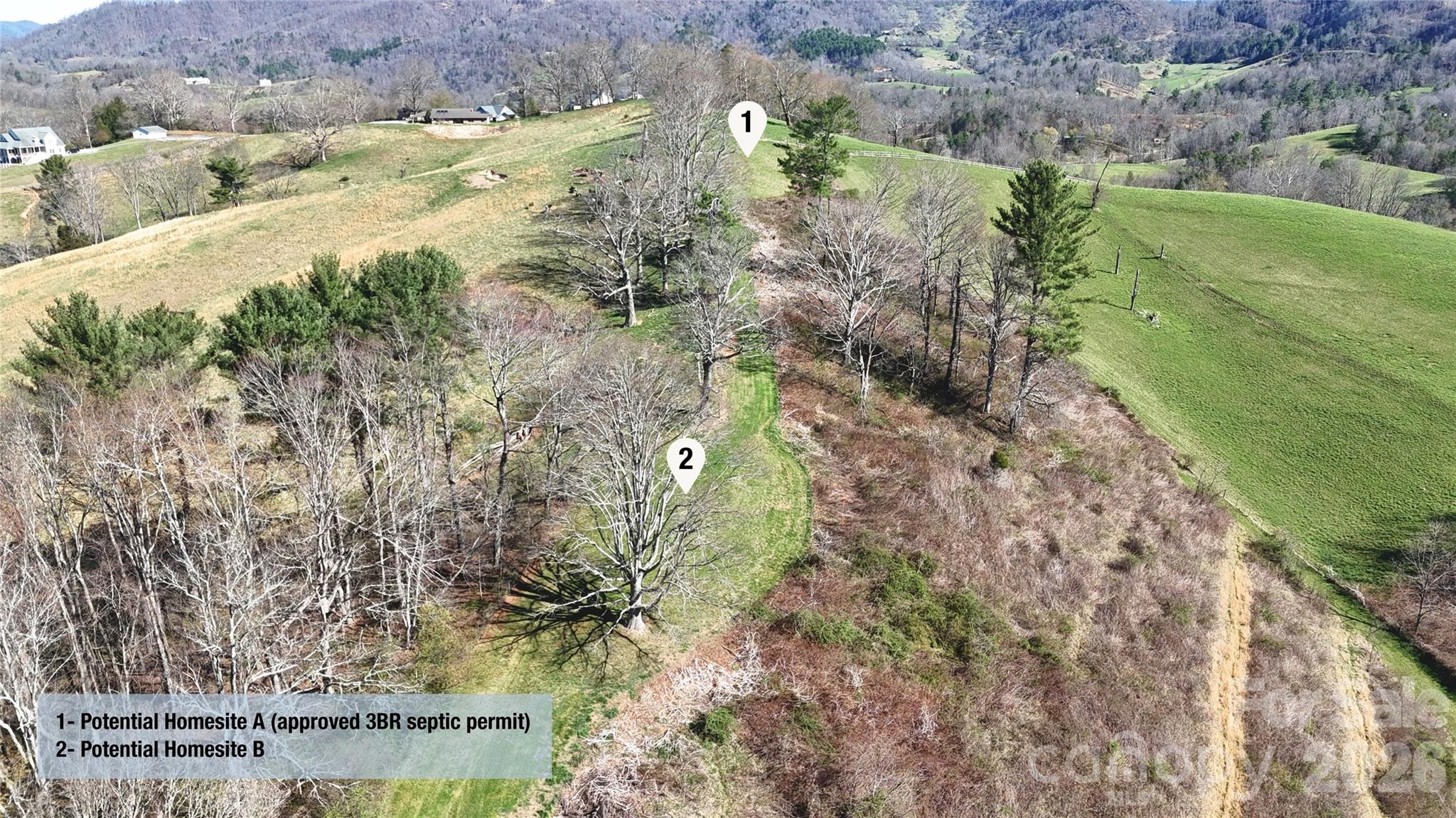 0 Buck Ridge Road Waynesville, NC 28785 - Photo 7 of 18 Gallery Image 7
