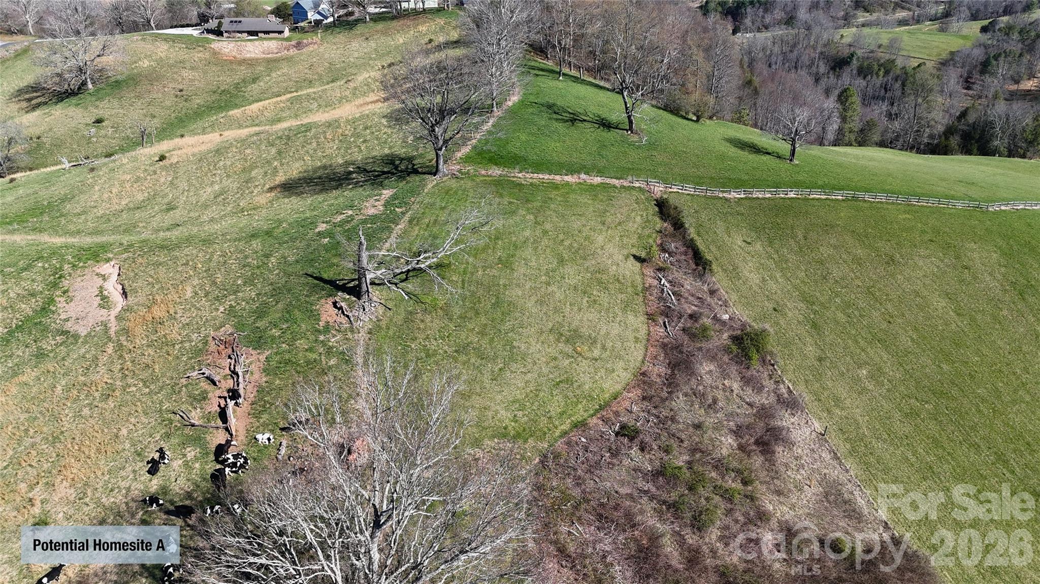 0 Buck Ridge Road Waynesville, NC 28785 - Photo 8 of 18 Gallery Image 8