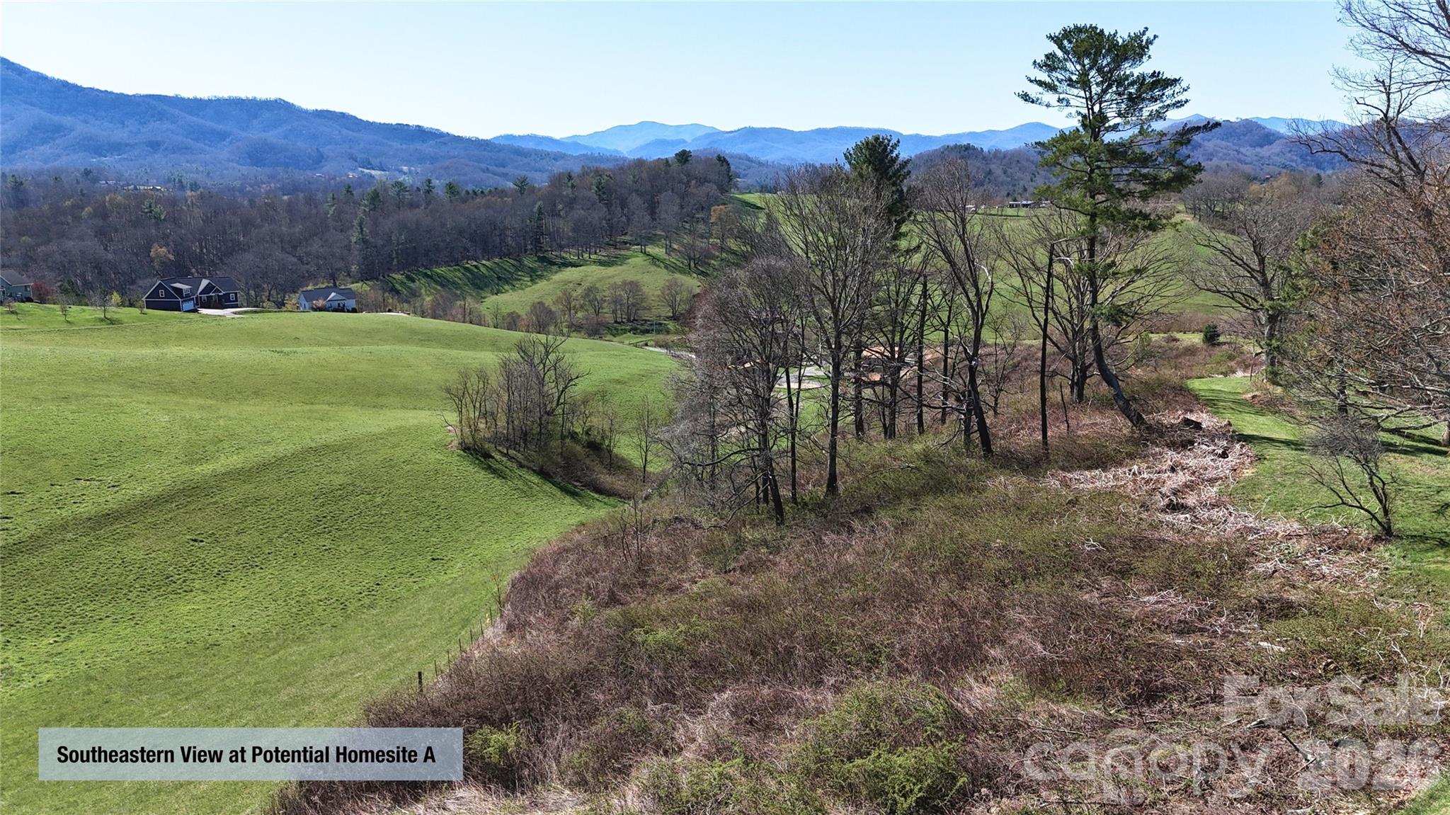 0 Buck Ridge Road Waynesville, NC 28785 - Photo 10 of 18 Gallery Image 10