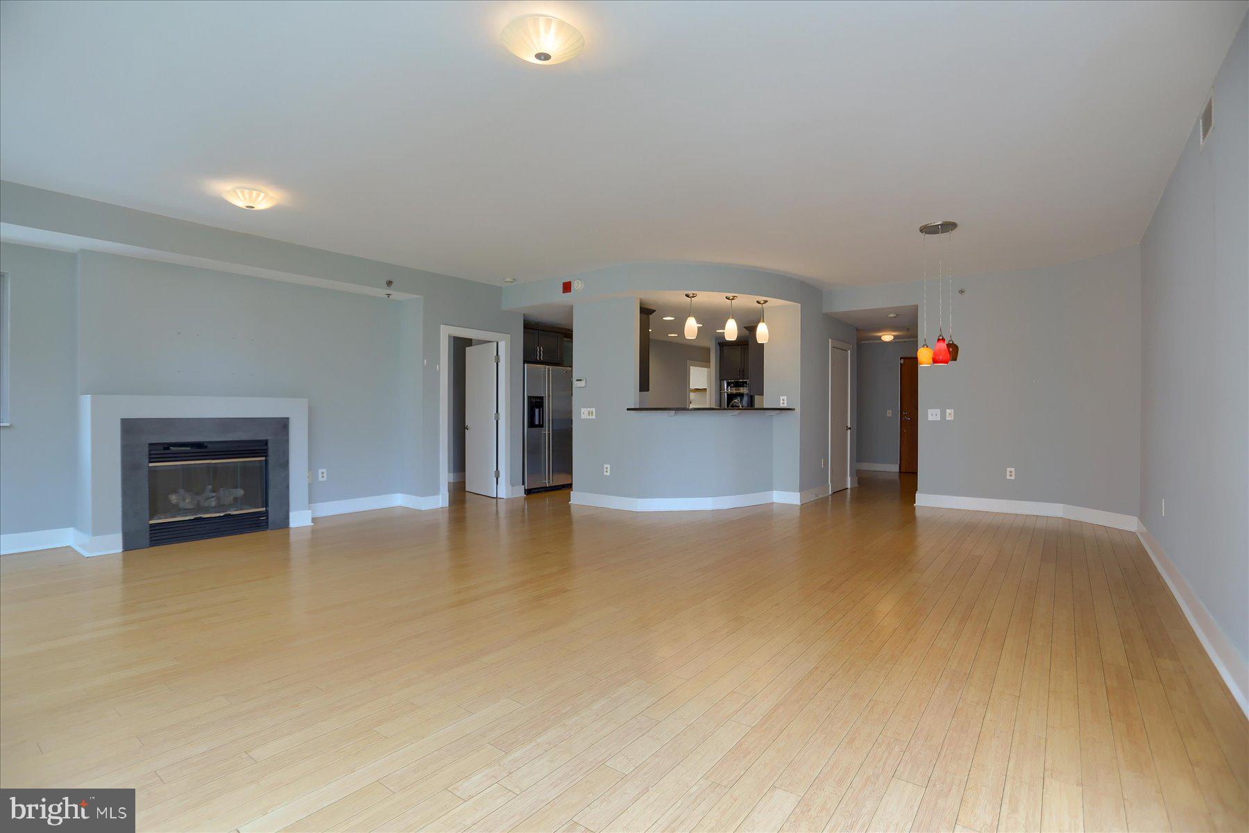 1400 Lancaster Street, Unit 802 Baltimore, MD 21231 - Photo 10 of 34 a view of a livingroom with a fireplace