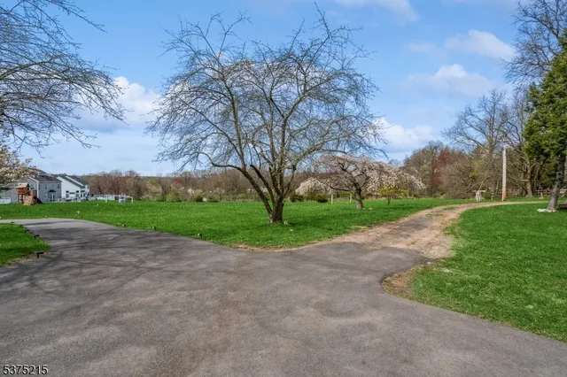 a view of a garden with basketball court