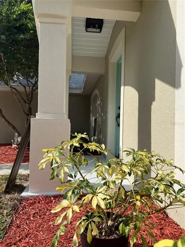 a backyard of a house with lots of green space