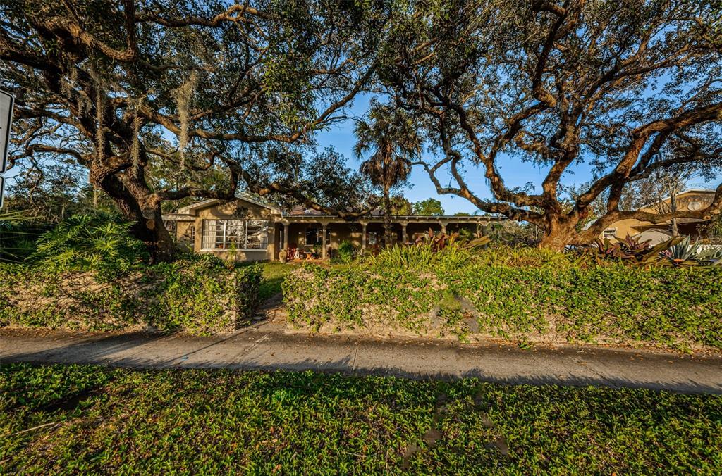 330 North Spring Boulevard Tarpon Springs, FL 34689 - Photo 5 of 34 a view of a yard with plants