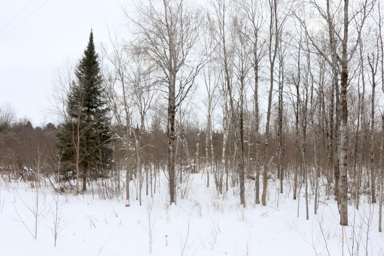 22361 9 Mile Road Reed City, MI 49677 - Photo 12 of 29 012