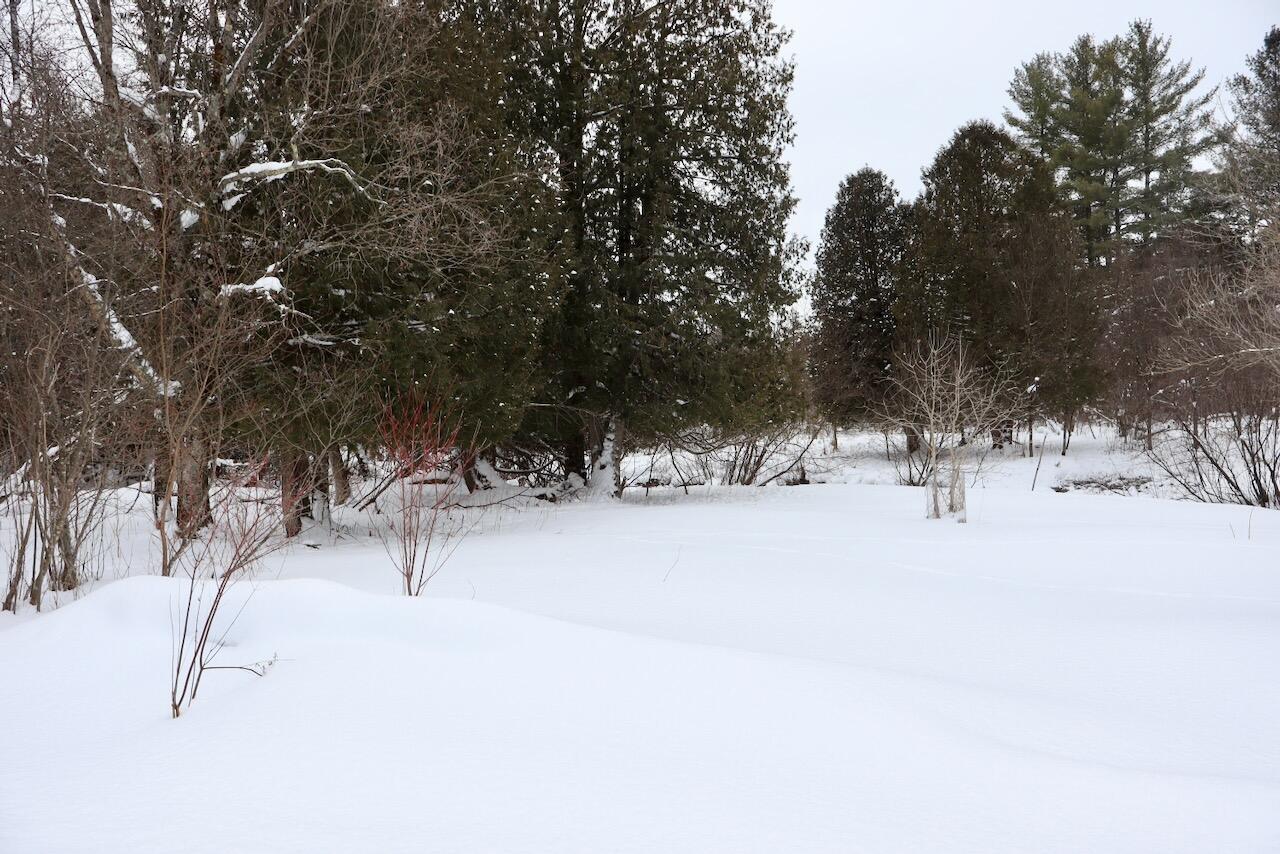 22361 9 Mile Road Reed City, MI 49677 - Photo 14 of 29 014