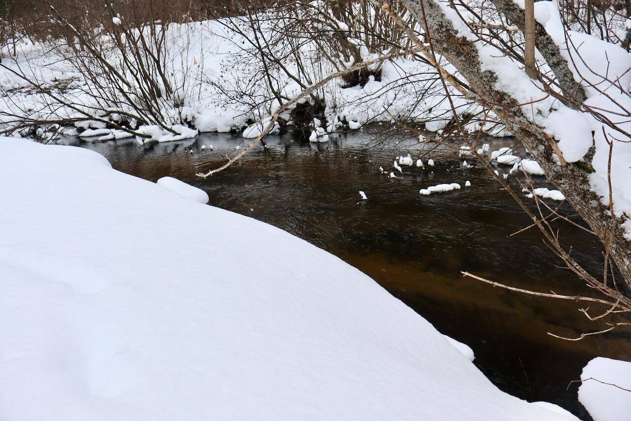 22361 9 Mile Road Reed City, MI 49677 - Photo 23 of 29 IMG_1707