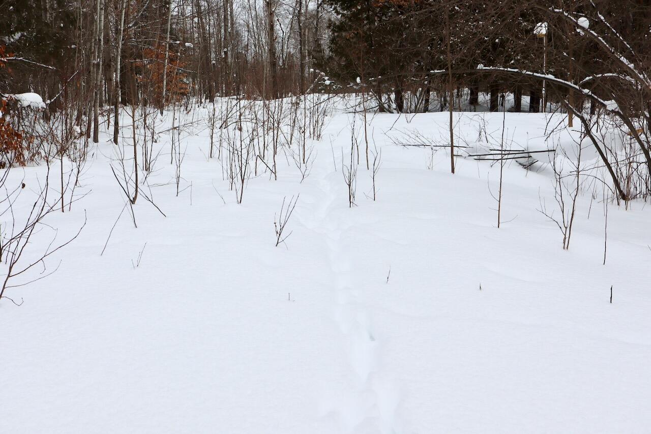 22361 9 Mile Road Reed City, MI 49677 - Photo 25 of 29 IMG_1712