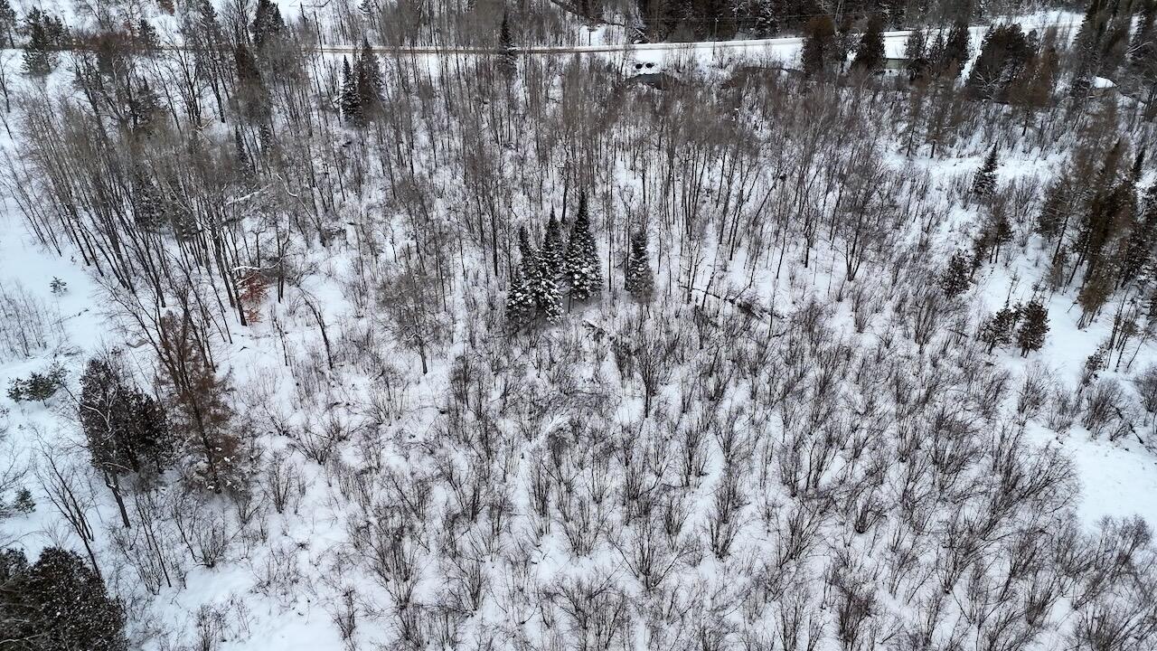 22361 9 Mile Road Reed City, MI 49677 - Photo 5 of 29 005