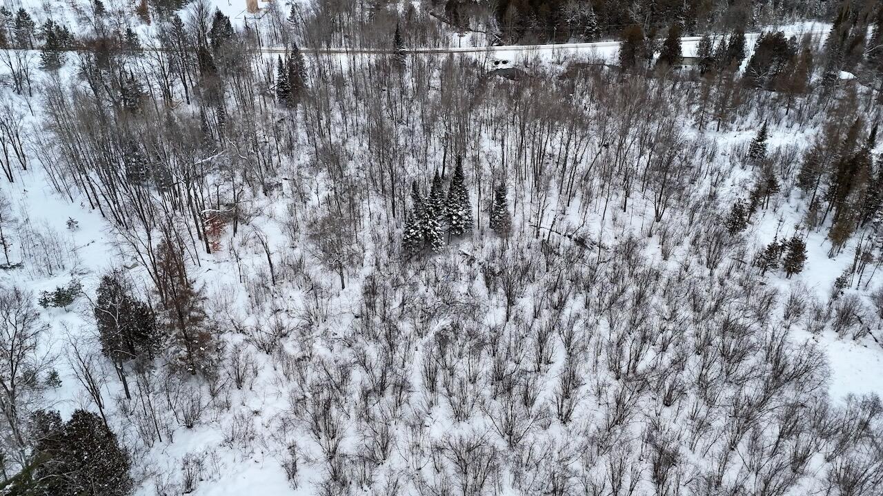 22361 9 Mile Road Reed City, MI 49677 - Photo 6 of 29 006