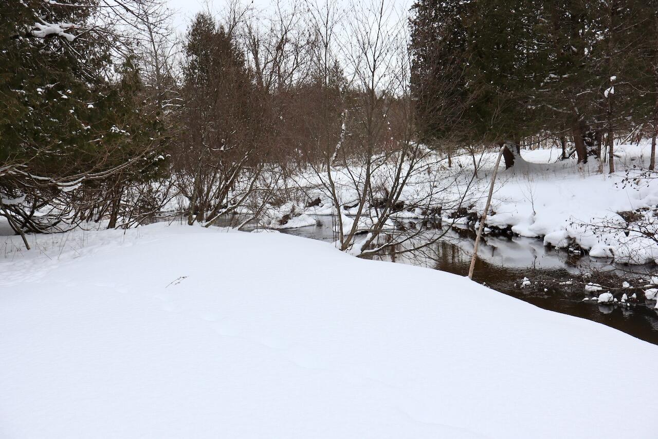 22361 9 Mile Road Reed City, MI 49677 - Photo 9 of 29 009