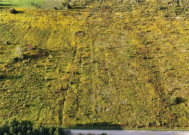 $19,900 | 0 Clark Road, Franklinville, NY 14737