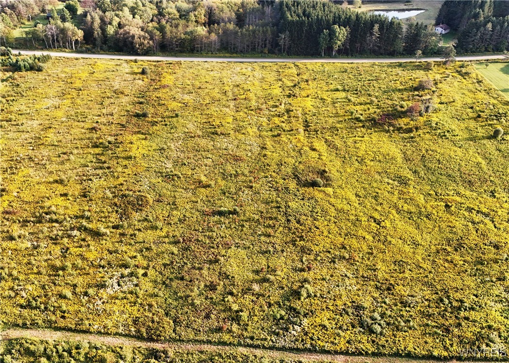 0 Clark Road Franklinville, NY 14737 - Photo 3 of 5