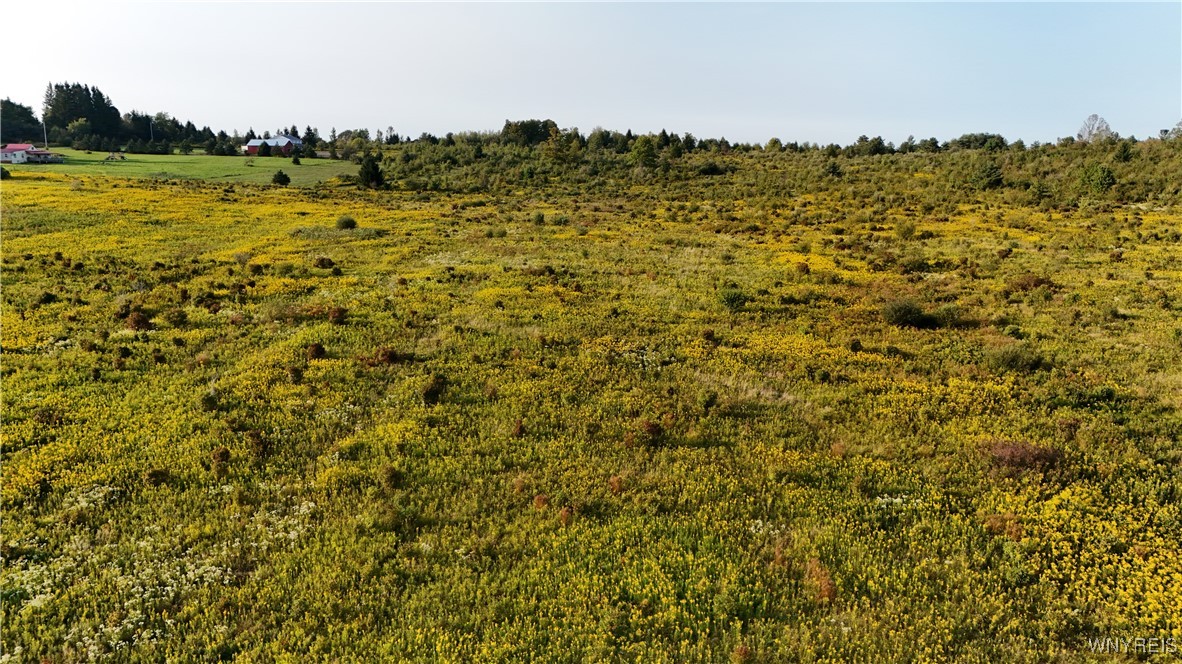 0 Clark Road Franklinville, NY 14737 - Photo 5 of 5