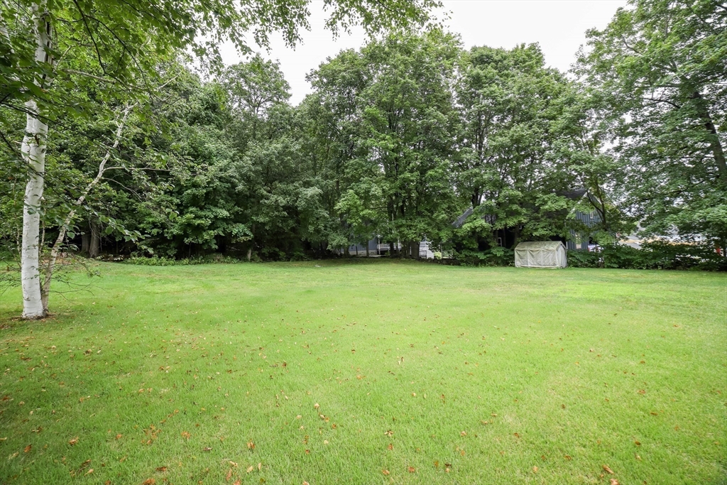 6 Reservoir Street Cherry Valley, MA 01611 - Photo 33 of 35 a view of garden with trees