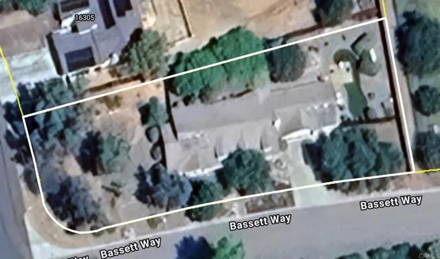 a view of a city with lush green forest