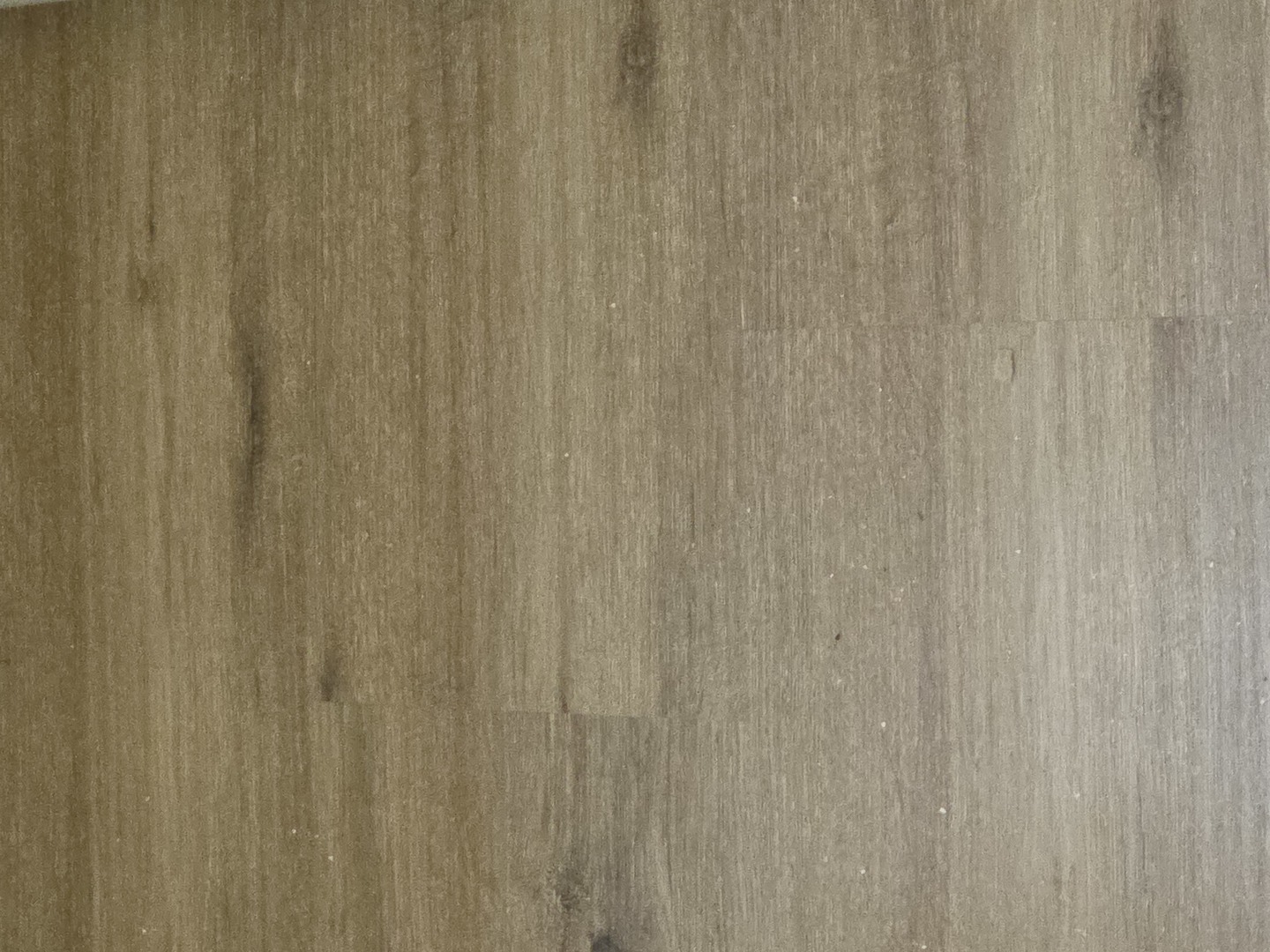 8649 Niles Center Road, Unit B Skokie, IL 60077 - Photo 6 of 23