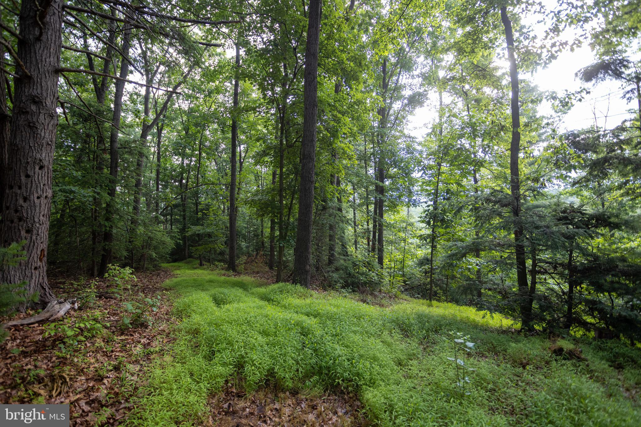 3125 Buckwheat Road Millerstown, PA 17062 - Photo 19 of 38