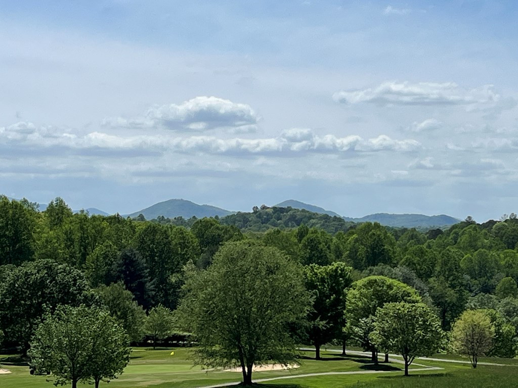 Lot 2 M Ridges Hayesville, NC 28904 - Photo 12 of 12 Gallery Image 12