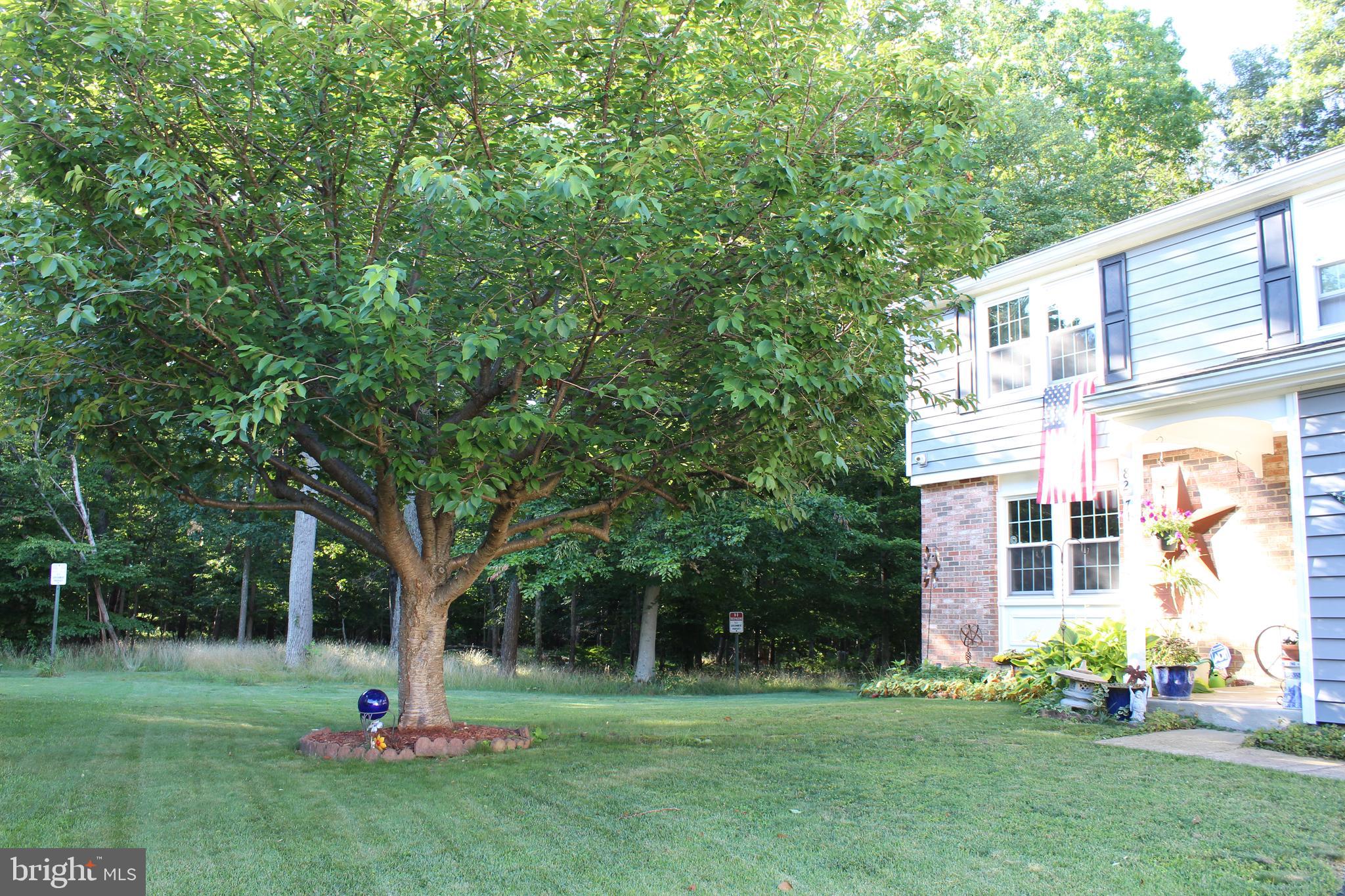 8271 Raindrop Way Springfield, VA 22153 - Photo 3 of 53 Gallery Image 3