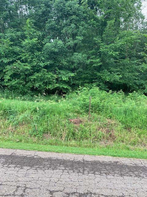 Lot # King Road Howard, OH 43028 - Photo 2 of 2