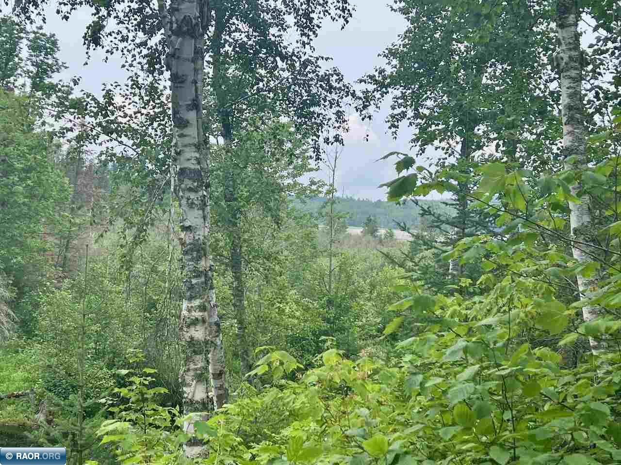 Tbd Tbd Haley Rd/arrowhead Trail Orr, MN 55771 - Photo 13 of 26