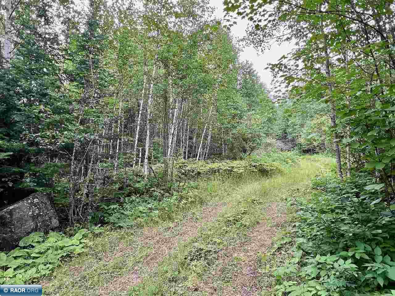 Tbd Tbd Haley Rd/arrowhead Trail Orr, MN 55771 - Photo 19 of 26