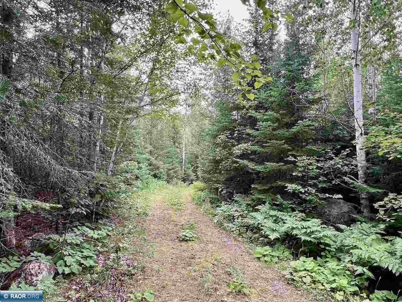 Tbd Tbd Haley Rd/arrowhead Trail Orr, MN 55771 - Photo 20 of 26