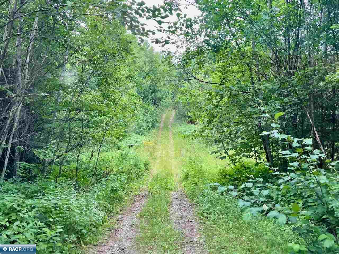 Tbd Tbd Haley Rd/arrowhead Trail Orr, MN 55771 - Photo 21 of 26