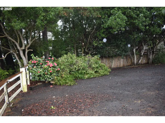 a view of a backyard with plants and trees