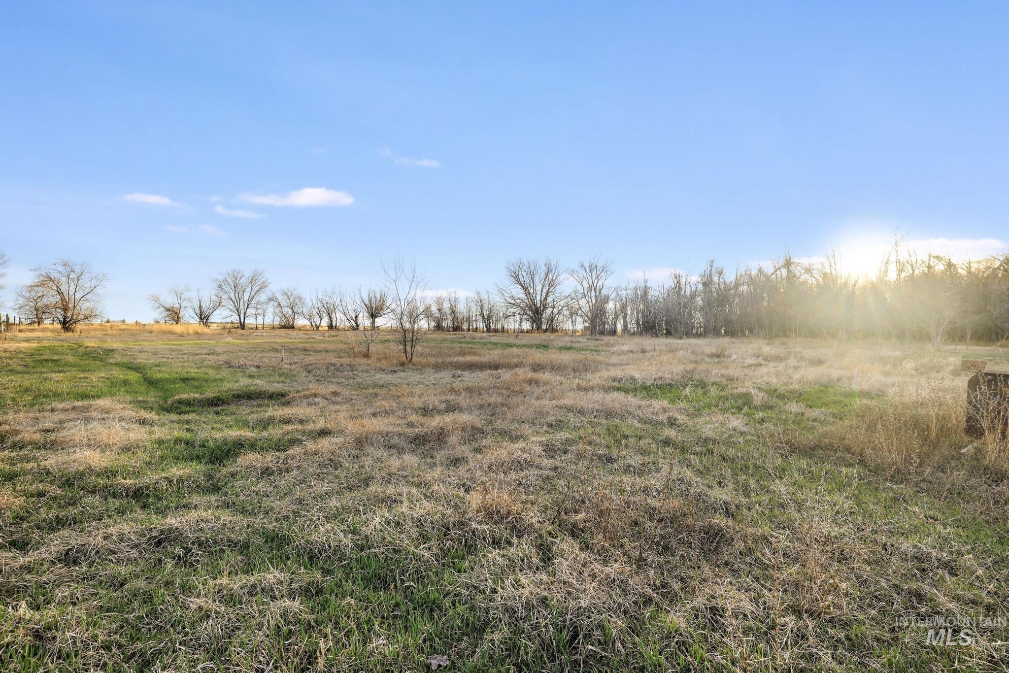 2735 East 3300 N Road Twin Falls, ID 83301 - Photo 14 of 24 View of yard with a rural view