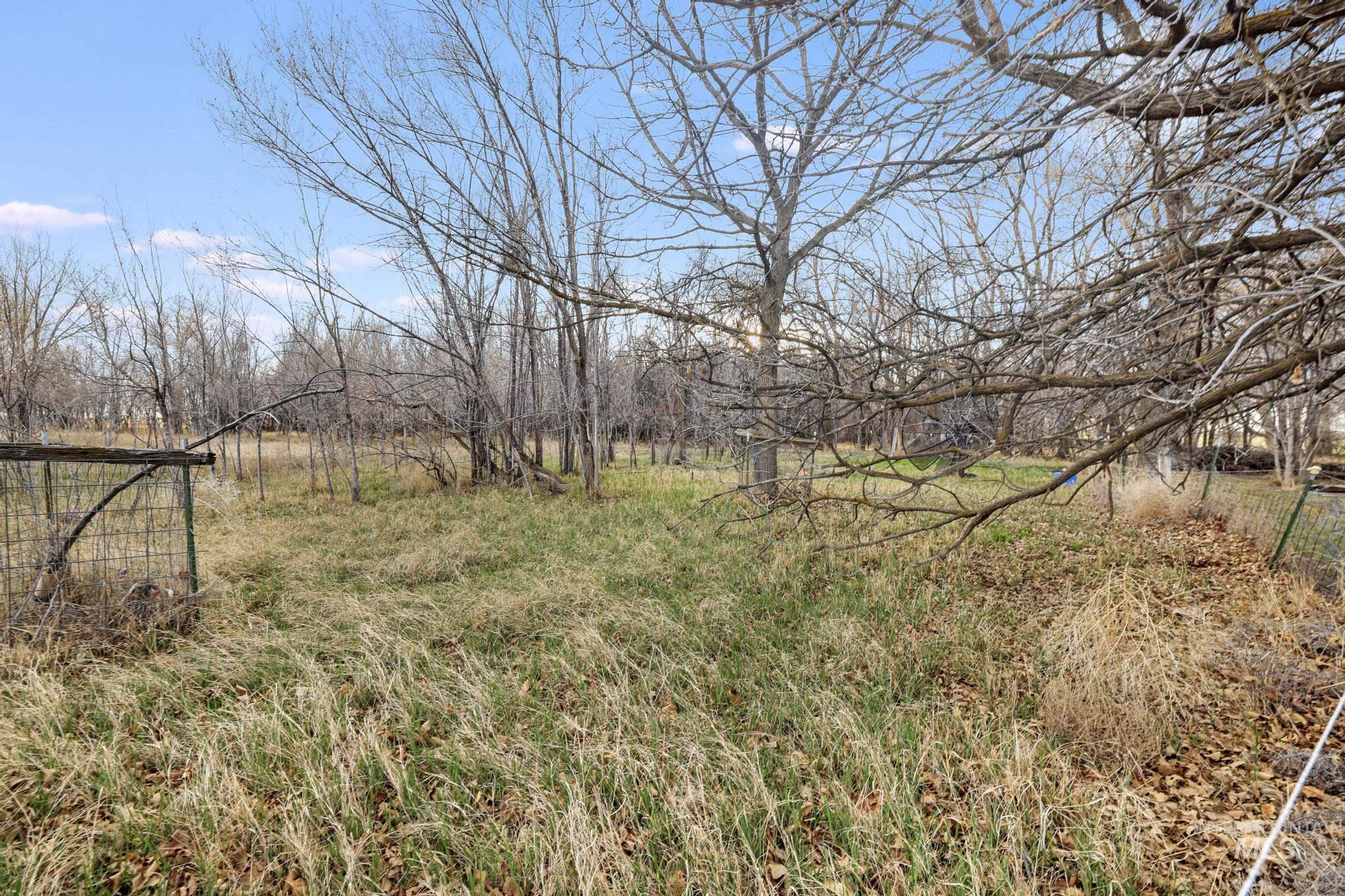 2735 East 3300 N Road Twin Falls, ID 83301 - Photo 7 of 24 View of yard featuring a rural view