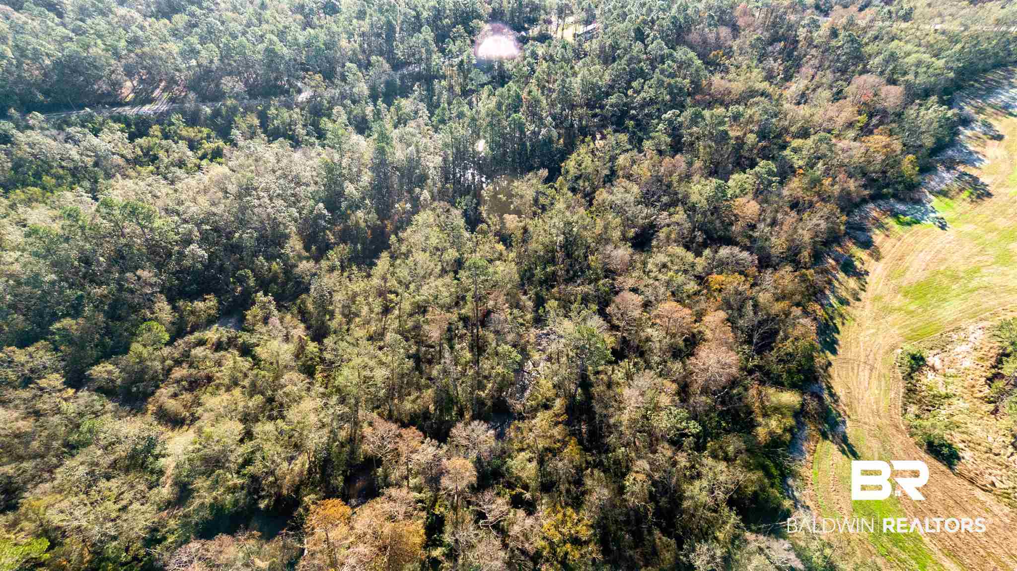 0 McPhillips Road Loxley, AL 36551 - Photo 17 of 27
