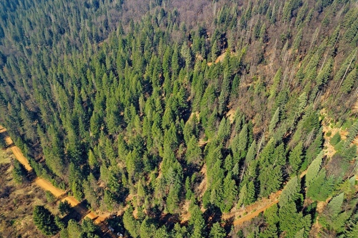 Lot 4 Circle 7 Road McCloud, CA 96057 - Photo 11 of 13 Gallery Image 11