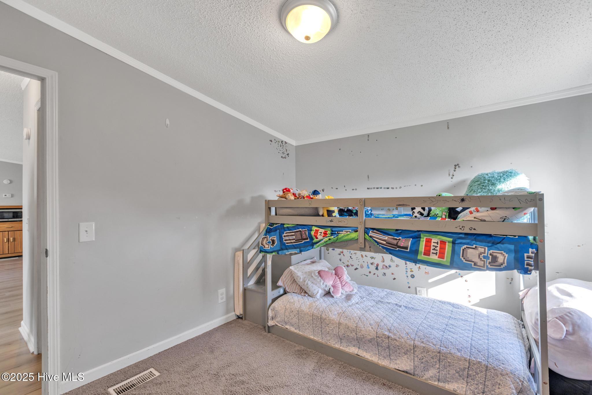1117 Haw Branch Road Beulaville, NC 28518 - Photo 20 of 30 425A3852
