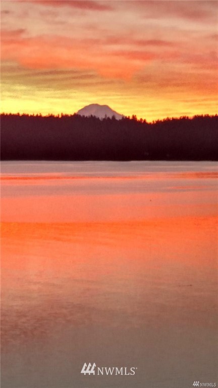 10631 Southeast Cisco Road Port Orchard, WA 98367 - Photo 3 of 25 Gallery Image 3