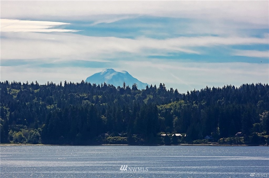 10631 Southeast Cisco Road Port Orchard, WA 98367 - Photo 24 of 25 Gallery Image 24