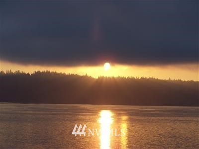 10631 Southeast Cisco Road Port Orchard, WA 98367 - Photo 4 of 25 Gallery Image 4