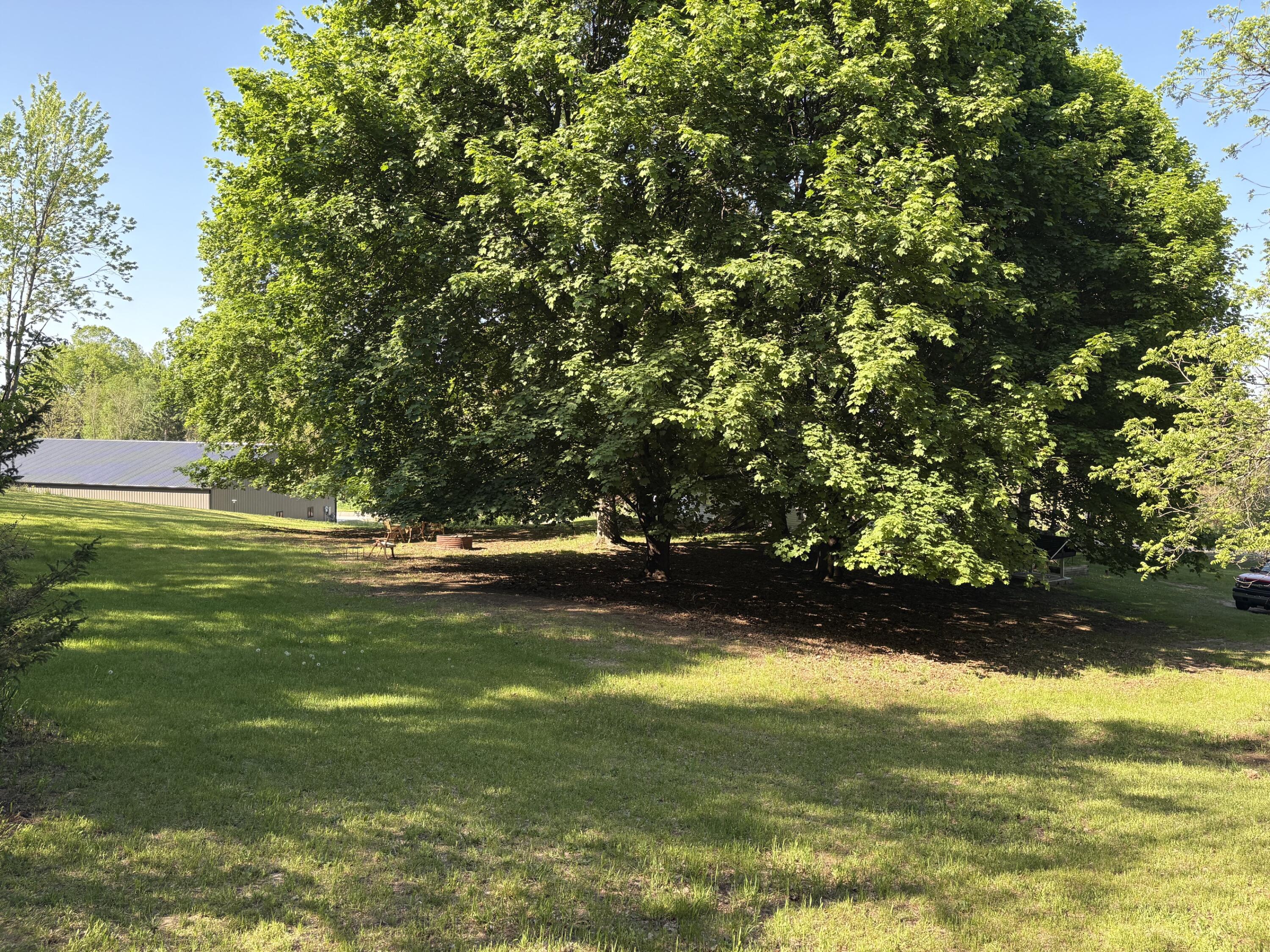 8819 Erdman Road Onekama, MI 49675 - Photo 59 of 61 IMG_8781