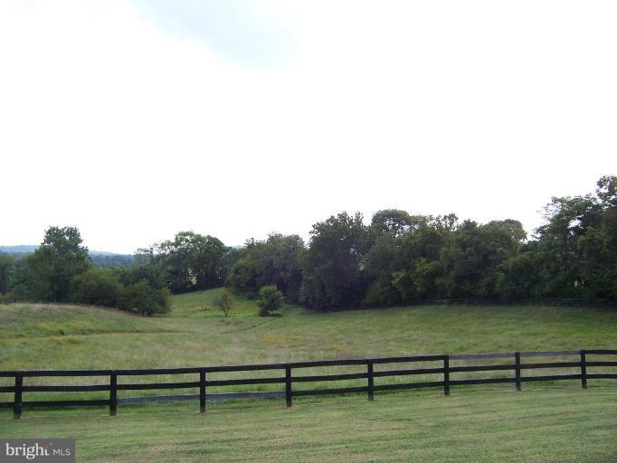 Deck - View from
