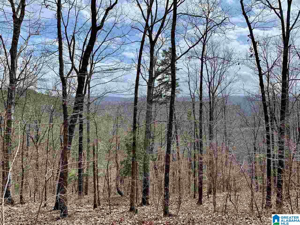 8791 Pine Mountain Road, Unit 40 Pinson, AL 35126 - Photo 2 of 3