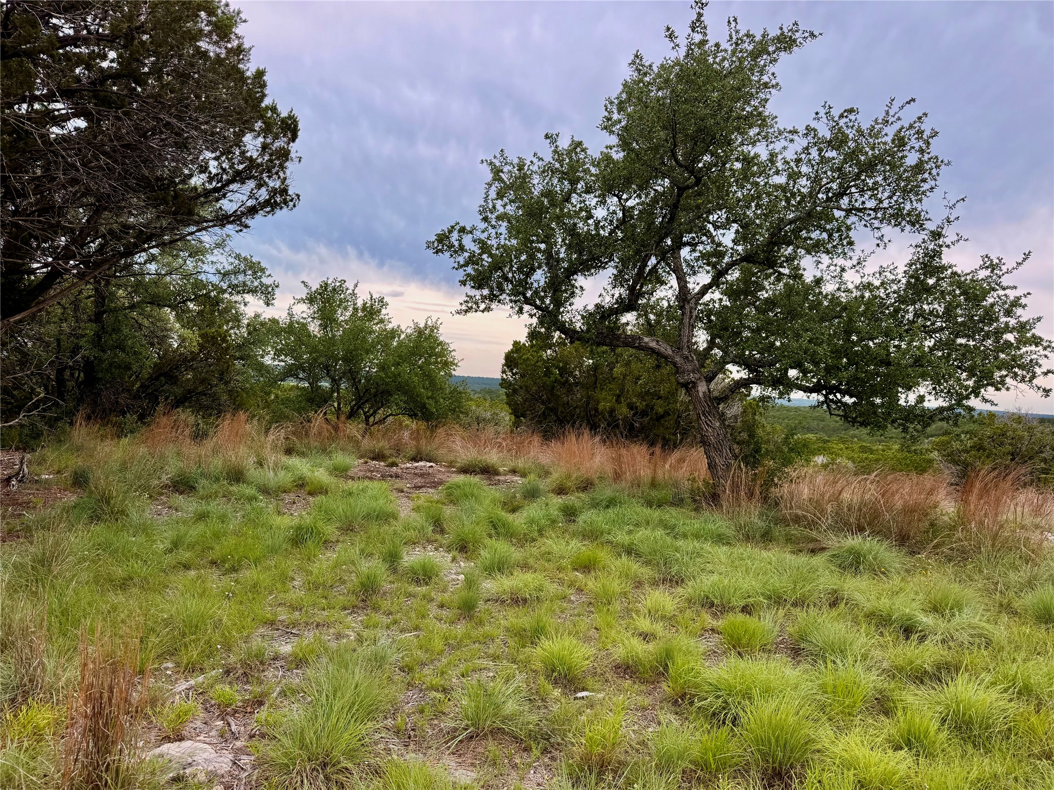 2017 County Road 222 Kempner, TX 76539 - Photo 12 of 16 Expansive outdoor space featuring varied vegetation, established trees, and natural ground cover