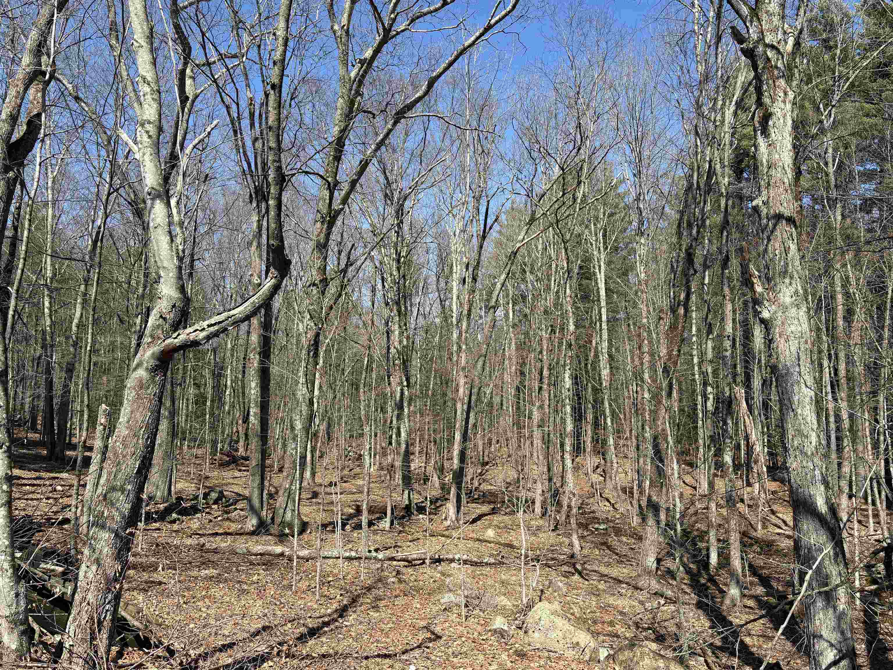 79-1 Currier Road Candia, NH 03034 - Photo 11 of 33