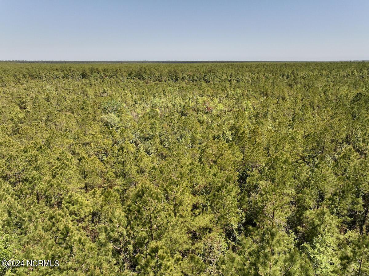 0 George Road Havelock, NC 28532 - Photo 16 of 28 15