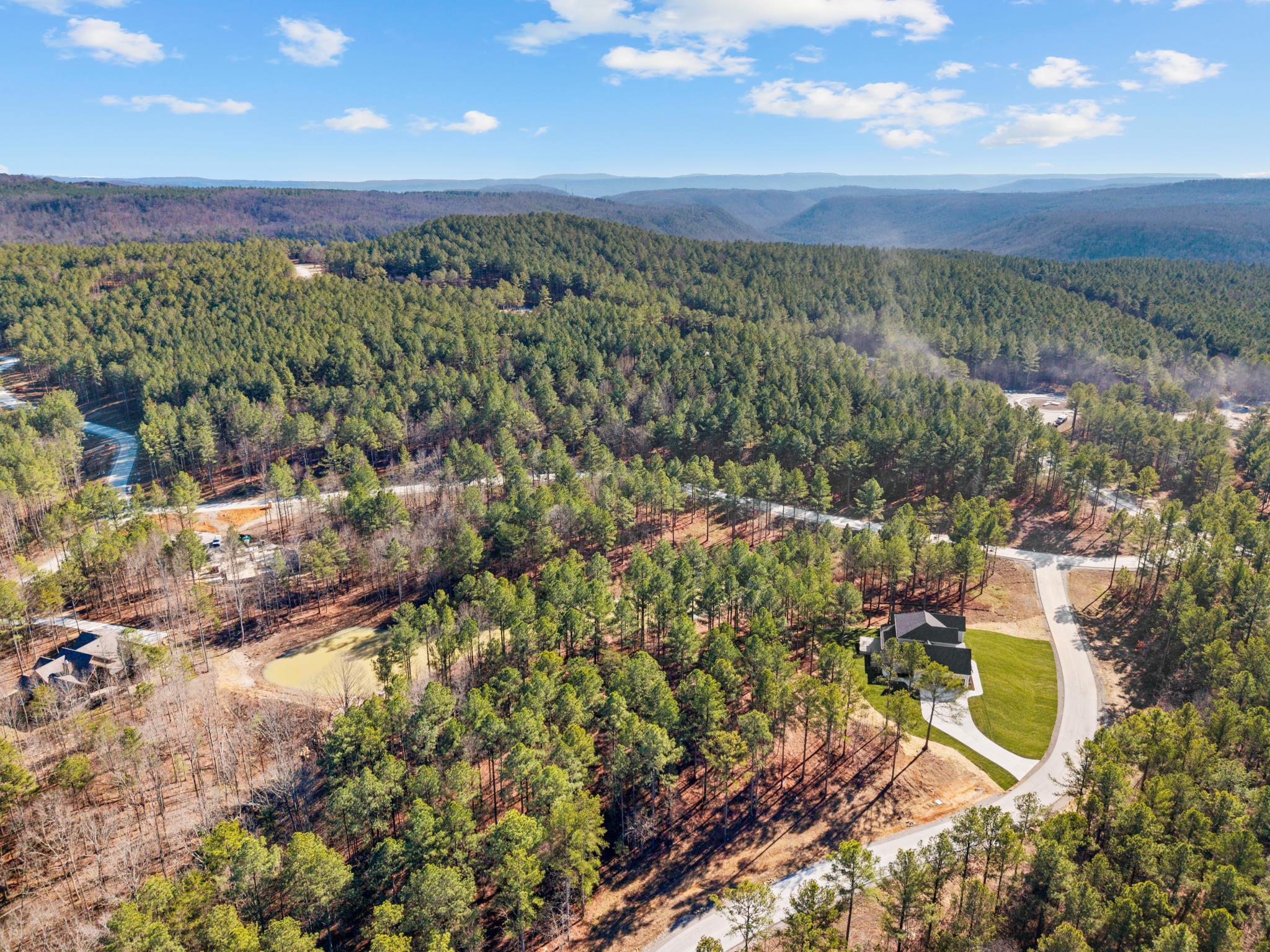 0 Farm Road, Unit 1050 Guild, TN 37340 - Photo 2 of 11 1050 2