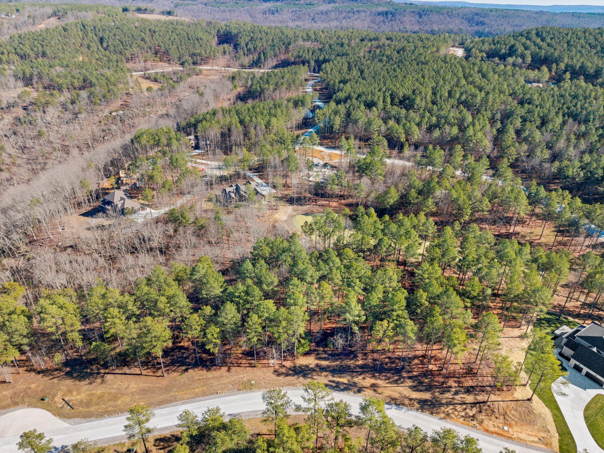 0 Farm Road, Unit 1050 Guild, TN 37340 - Photo 3 of 11 1050 3